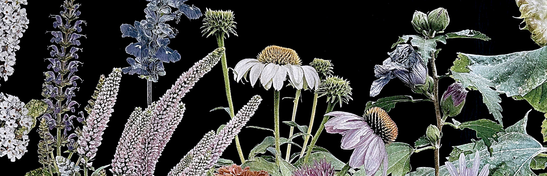 Photo of a woven tapestry artwork by Heidi Carlsen Rogers depicting flowers on a black background.