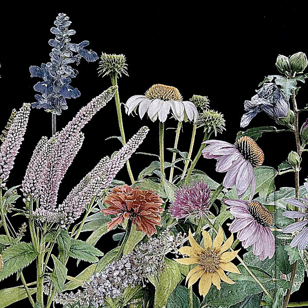Photo of a woven tapestry artwork by Heidi Carlsen Rogers depicting flowers on a black background.