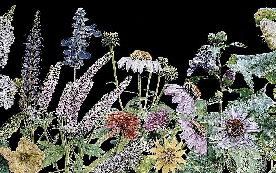 Photo of a woven tapestry artwork by Heidi Carlsen Rogers depicting flowers on a black background.