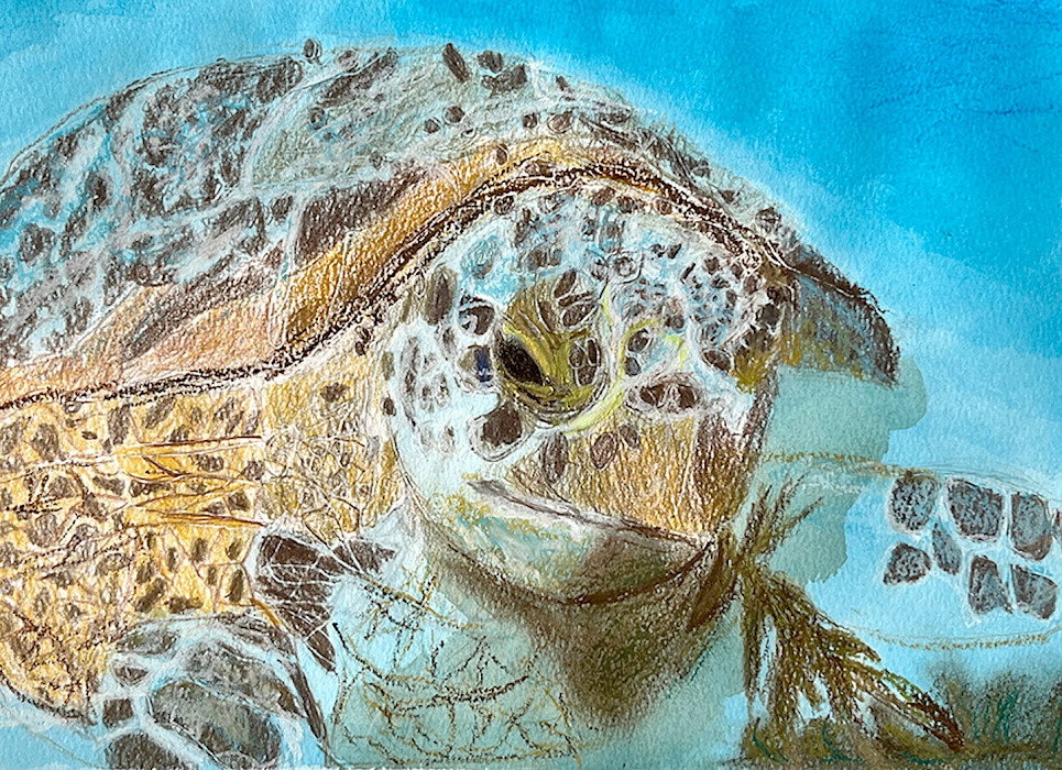 Honoralble Mention: Carter M., "An Encounter Among the Waves," Prismacolor© colored pencil, watercolor, and oil pastel, 9 x 12 in., C D Creative Studio, Art Educator: Cynthia Delahunt.