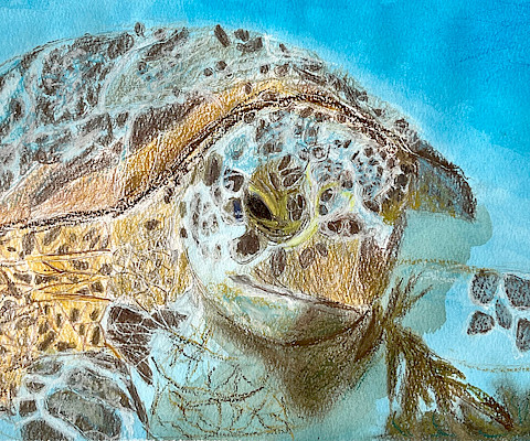 Honoralble Mention: Carter M., "An Encounter Among the Waves," Prismacolor© colored pencil, watercolor, and oil pastel, 9 x 12 in., C D Creative Studio, Art Educator: Cynthia Delahunt.