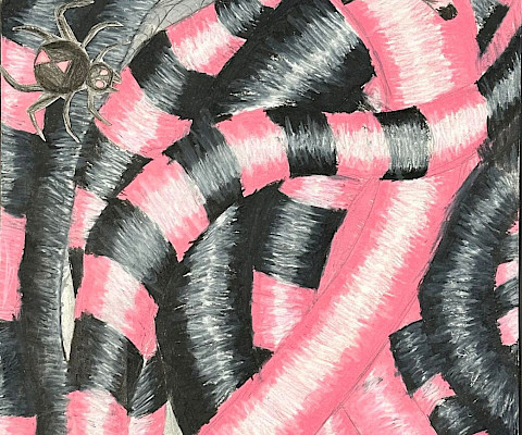 Emerson B., "In Your Area," colored pencil, 18 x 9 in., Flippin Elementary, Art Educator: Tracey Moore.