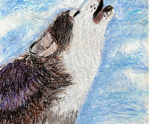 Honorable Mention: Emma S., "Wolf of the Clouds," oil pencil, 12 x 9 in., C D Creative Studio, Art Educator: Cynthia Delahunt.