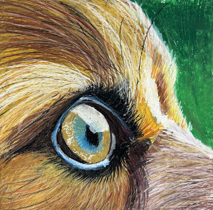 Owen H., "Man's Best Friend," oil pastel, 11 x 14 in., Carl Stuart Middle School, Art Educator: Zachary Nolan.