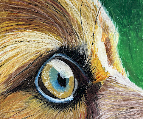 Owen H., "Man's Best Friend," oil pastel, 11 x 14 in., Carl Stuart Middle School, Art Educator: Zachary Nolan.