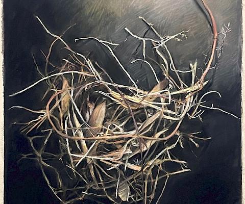 Sasha B., "Nest," pastel on sandpaper, 22 x 16 in., Little Rock Central High School, Art Educator: Jason McCann.