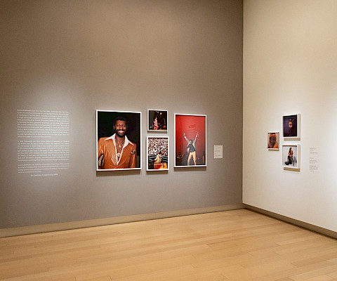 Image courtesy of Jason Masters.